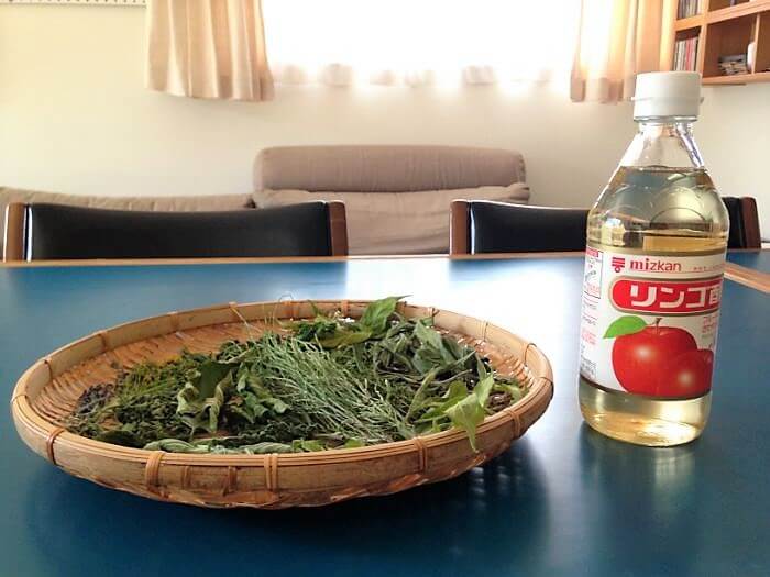 ハーブビネガーの作り方 飲むだけでなくお肌のお手入れ お掃除にも使える 薬草のある庭 松田香草