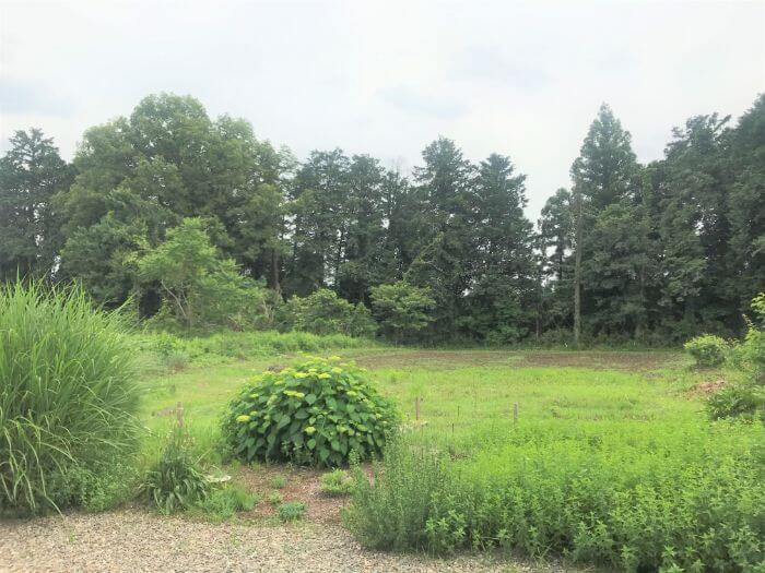 松田香草のハーブの庭